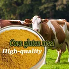 Cattle, pig, chicken, fish feed protein nutrition corn gluten meal