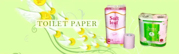 3-1.toilet paper.jpg