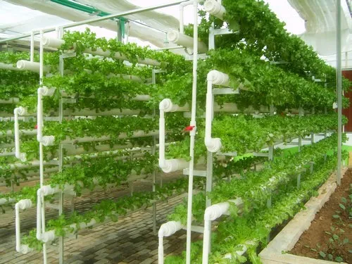 Agricultural Hydroponic Irrigation System Pvc Water ...