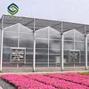 Large hydroponic strawberry farming glass greenhouse for sale