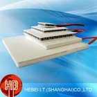High Temperature Thermoelectric Power Generation Peltier Module