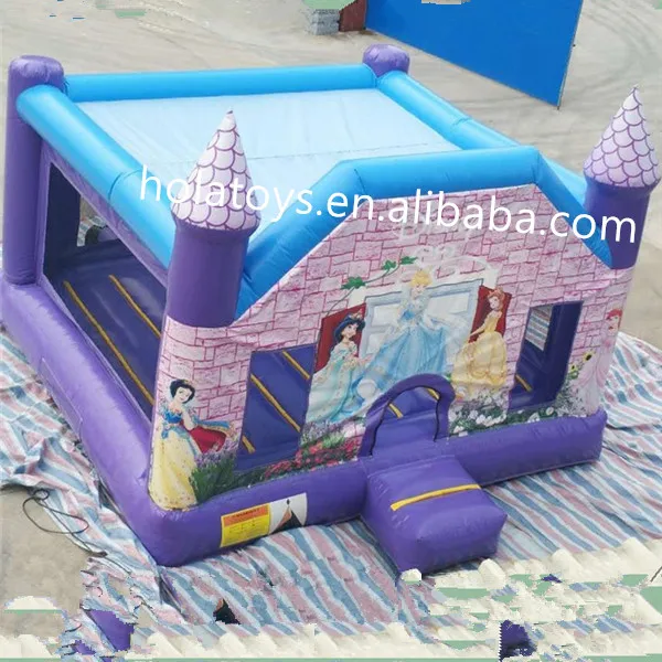 princess castle.jpg