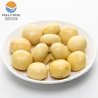 Canned whole button mushroom/whole button mushroom canned