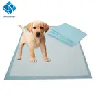 HOUSE TRAINER PET X LARGE XL SUPER ABSORBENT PUPPY DOG TRAINING PEE WEE MAT