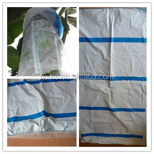 banana bunch bag with non-woven bag.jpg