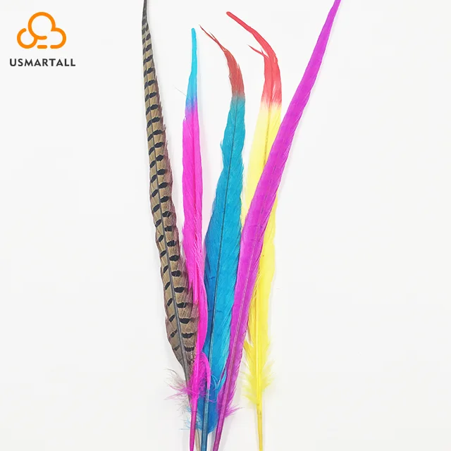 hot sale carnival feathers dyed colorful reeves pheasant tail