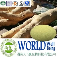 Hot Sales Plant Extract Tongkat Ali