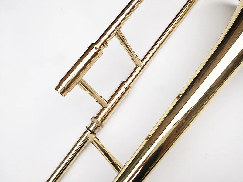 3041376560_1534920289