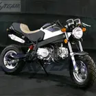SKYTEAM 125CC 4 stroke New Cafe PBR msx STYLE bike ZB50 (EEC EUROIII EURO3 Approval)