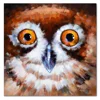 2019 New Design Modern Animal Oil Painting of Owl