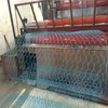 Blue PVC Coated Hexagonal Wire Netting, Chicken Wire Mesh, Galvanized wire Mesh