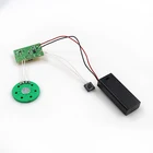 Low MOQ recordable sound recording module for stuffed animals,greeting cards
