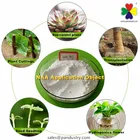 Acid Naa 98%tc 98%TC Plant Hormone Naphthaleneacetic Acid NAA Auxin Fertilizer