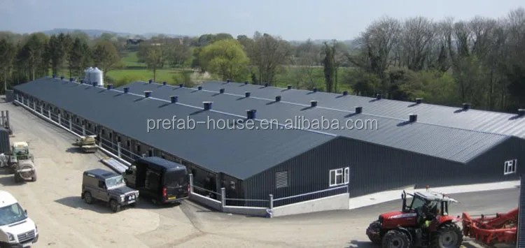 Steel structure poultry house for chicken poultry breeding house