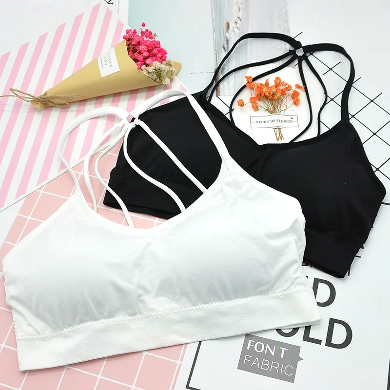 3937896539_1176988226