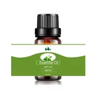 China Wholesale 100% Pure Jasmine Essential Oil