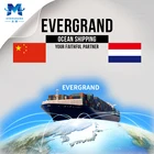 Professional Sea Freight Forwarder Company from China to France