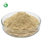 Food Grade Water Soluble Chitosan Oligochitosan Powder