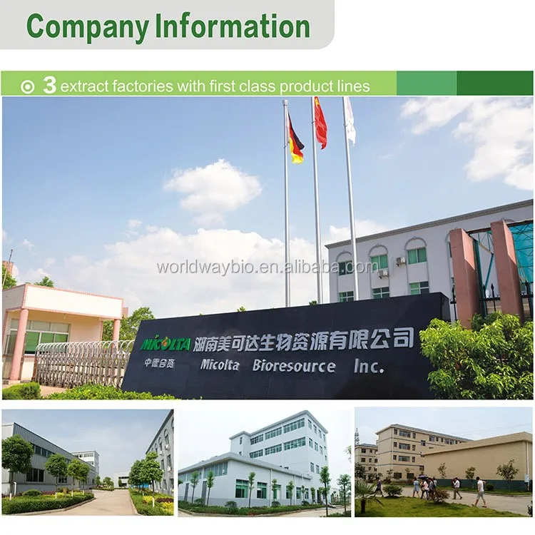 1 Company