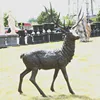 /product-detail/hot-casting-animal-statue-life-size-bronze-deer-sculpture-50044738383.html