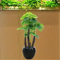 Garden And Home Design 7ft Tall