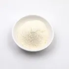 Wholesale Natural Instant desiccated coconut powder Coconut Cream Powder