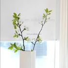 Blackout silver backing roller blind window blind silverr