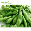 /product-detail/vegetable-seedlings-harvester-buy-organic-green-bean-cowpea-soybean-seeds-non-gmo-60807874489.html