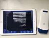 Conveniently used wifi ultrasound probe scanner / handheld ultrasound scanner wireless connected to Android phones, Ipad etc.