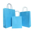 10 Years Factory Free Sample High Quality Custom Logo Christmas Kraft Paper Gift Bag