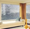 Transparent No Glue Static Cling Privacy Glass 3D Frosted Leaf Window Films