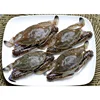 Hot sale Best quality Frozen Half-Cut Seafood blue swimming crab
