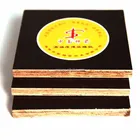 Red/Black/Brown Film Faced Plywood 10 to 20mm for Construction ZNSJ Concrete Shuttering Plywood