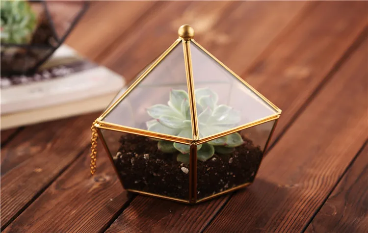 glass terrarium (1).jpg