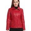 /product-detail/2019-spring-short-women-pu-leather-jacket-ladies-black-small-leather-jacket-women-red-coat-ladies-jackets-60622086654.html