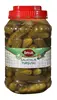 /product-detail/kosher-dill-pickle-123573539.html