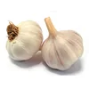 /product-detail/wholesale-fresh-organic-white-peeled-garlic-60832064709.html