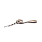 Excellent Material Factory Directly Provide Personalised Wholesale Dog Leash