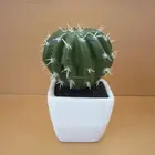 Cactus Plant Vivarium Terrarium Artificial Cactus Succulent Plant In Pot