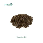 Farwell Valerian Oil CAS#8008-88-6 Essential Oil