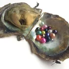 Wholesale 6-8mm nature pearl oyster salt water