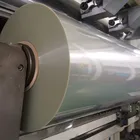 BOPET Holographic film radiation protection film for Holographic base film