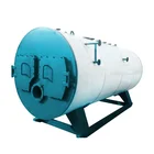 Packaged Automatic 500kg 0.5 ton Steam Mushroom Sterilization Boiler
