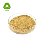 Male's Sex Enhancing Product Morinda Root / Morinda Officinalis How Extract Powder 10:1
