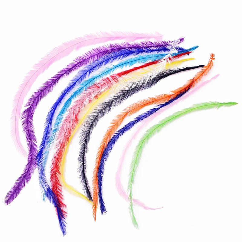 6311464446_212348735