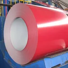 ral 4013 color coat iron sheet ppgi color coat steel