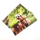 Digital Print Microfiber Eyeglass Lens Cloth Cloth