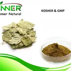 Mulberry Leaf Extract 1-DNJ 1% GMP and Kosher Manufacturer