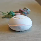Aromatherapy Car Scent Essential Oil Aroma Diffuser for Car Humidifier