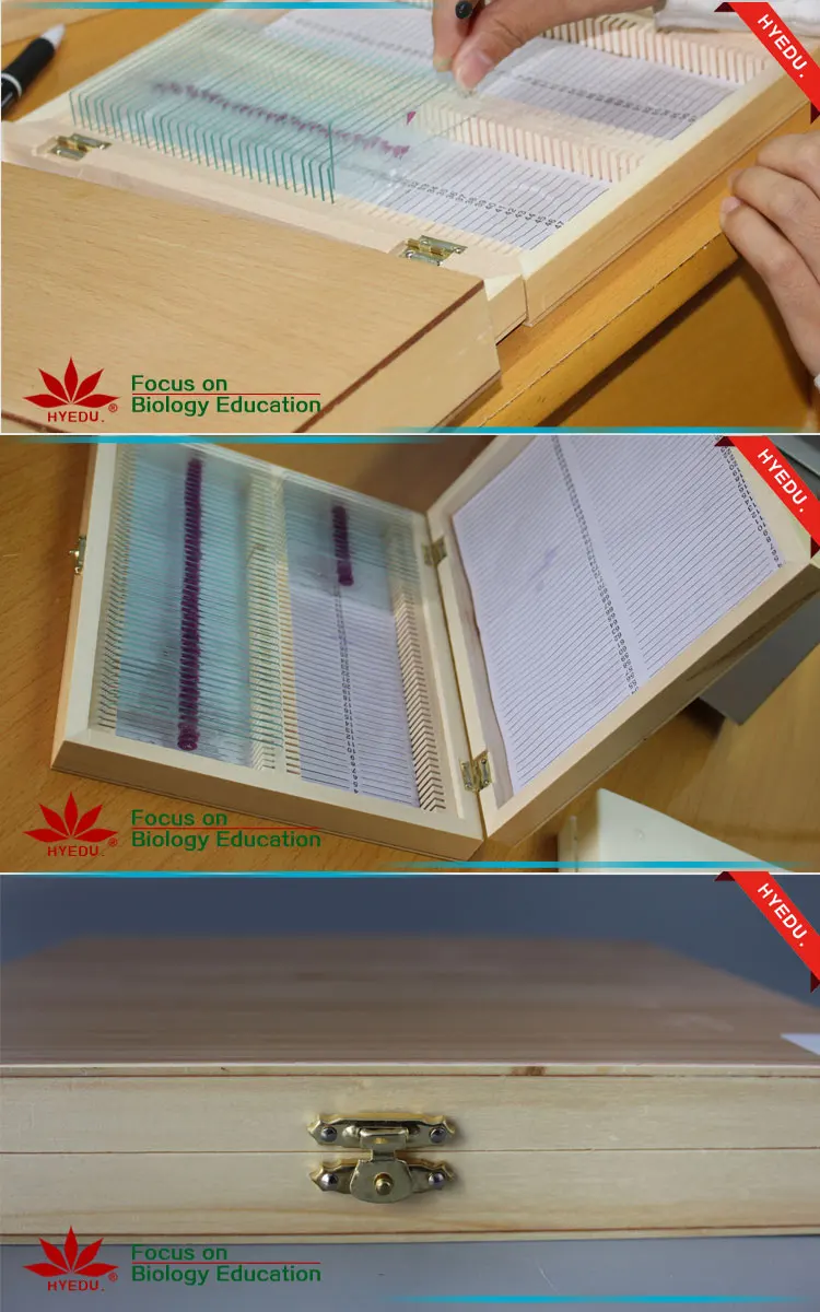 Microscope slide box wood (9)
